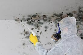 Mold Odor Removal Services in Jasper, GA